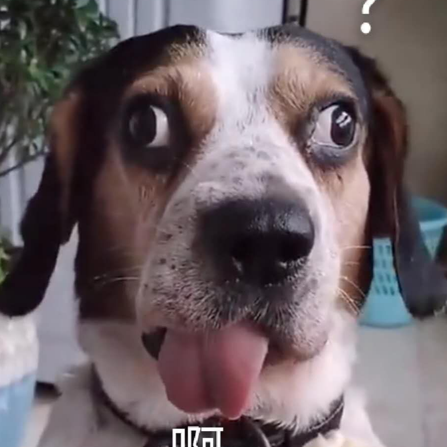 奶油面包好好吃啊！