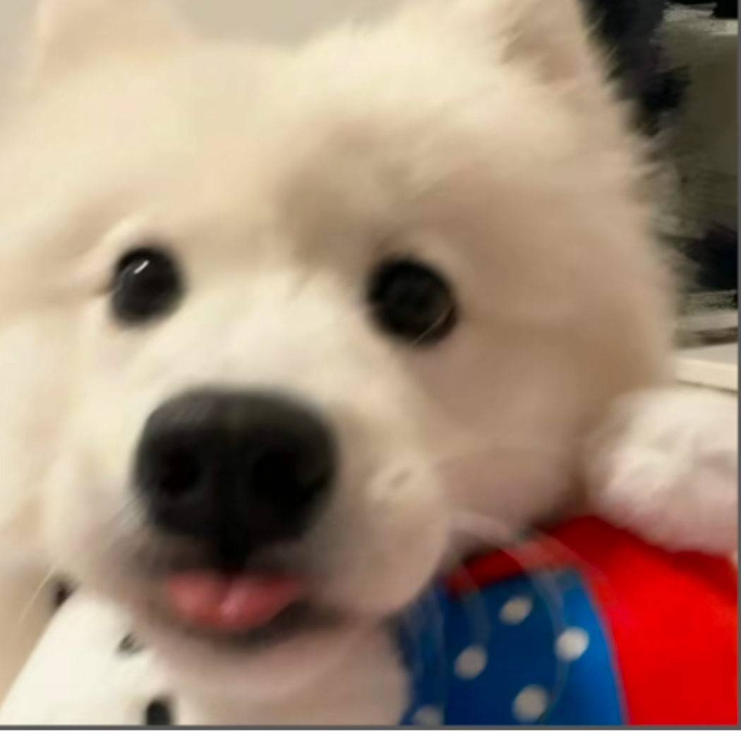 衣穿衫