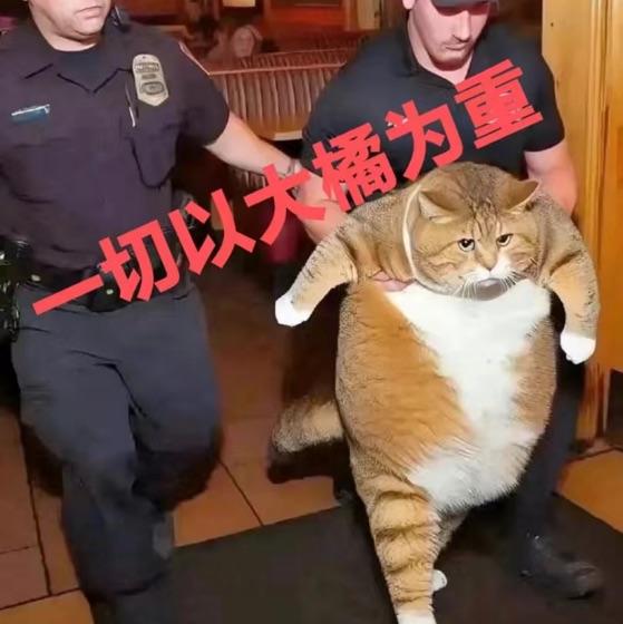 期待