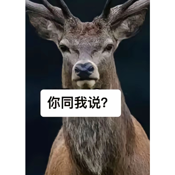 阿辞