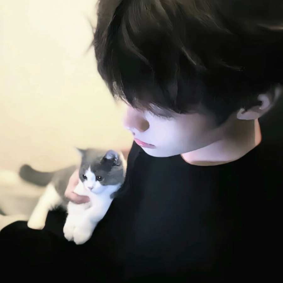🐶老六