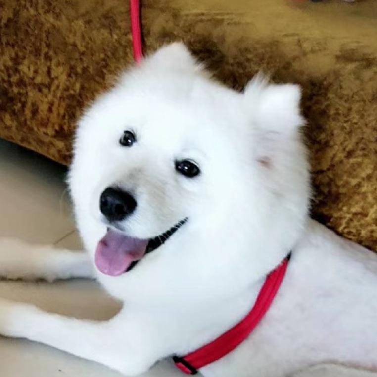 温柔