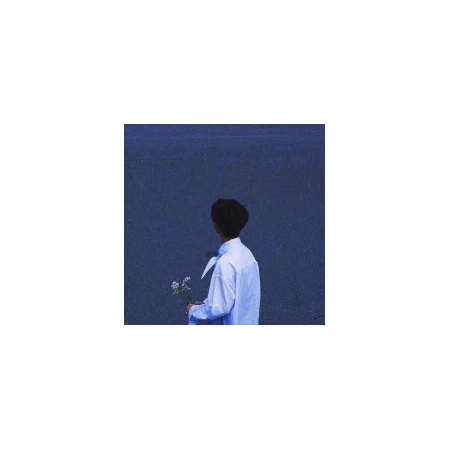木易