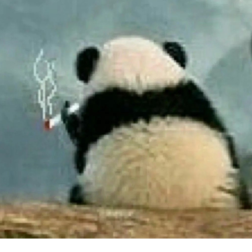 倾城之乐