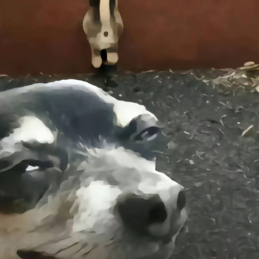 就这