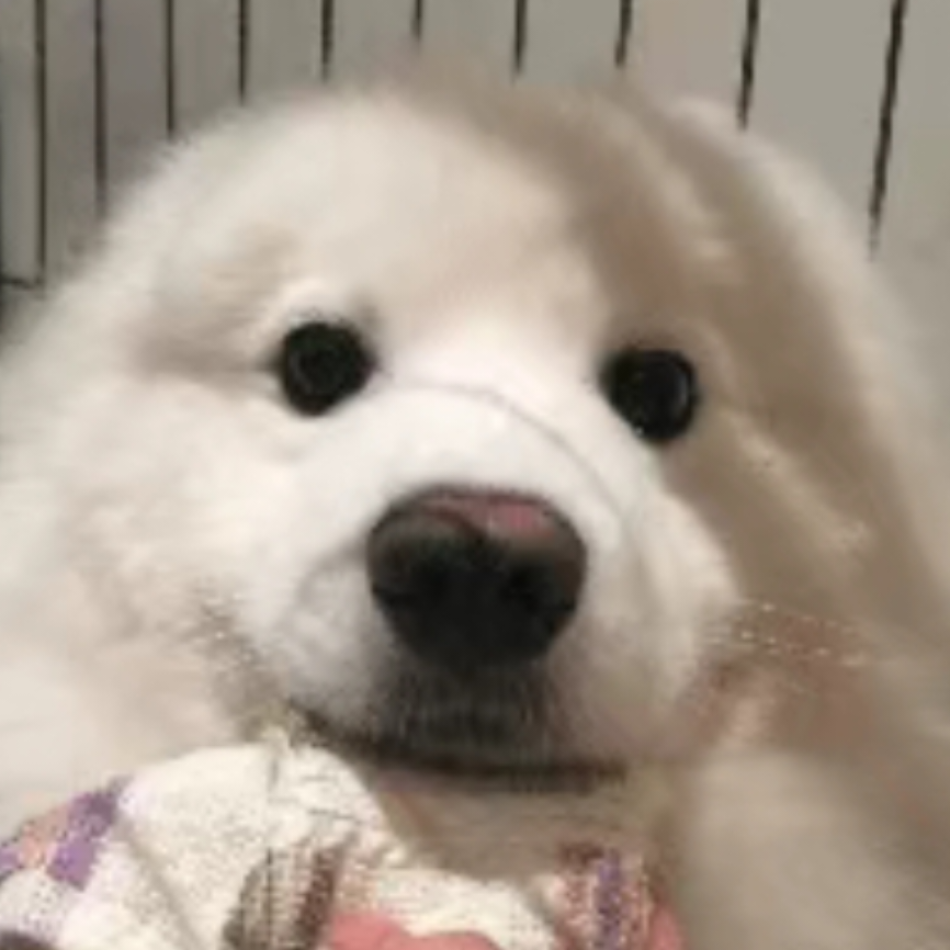 纤离生