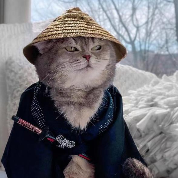 橙子