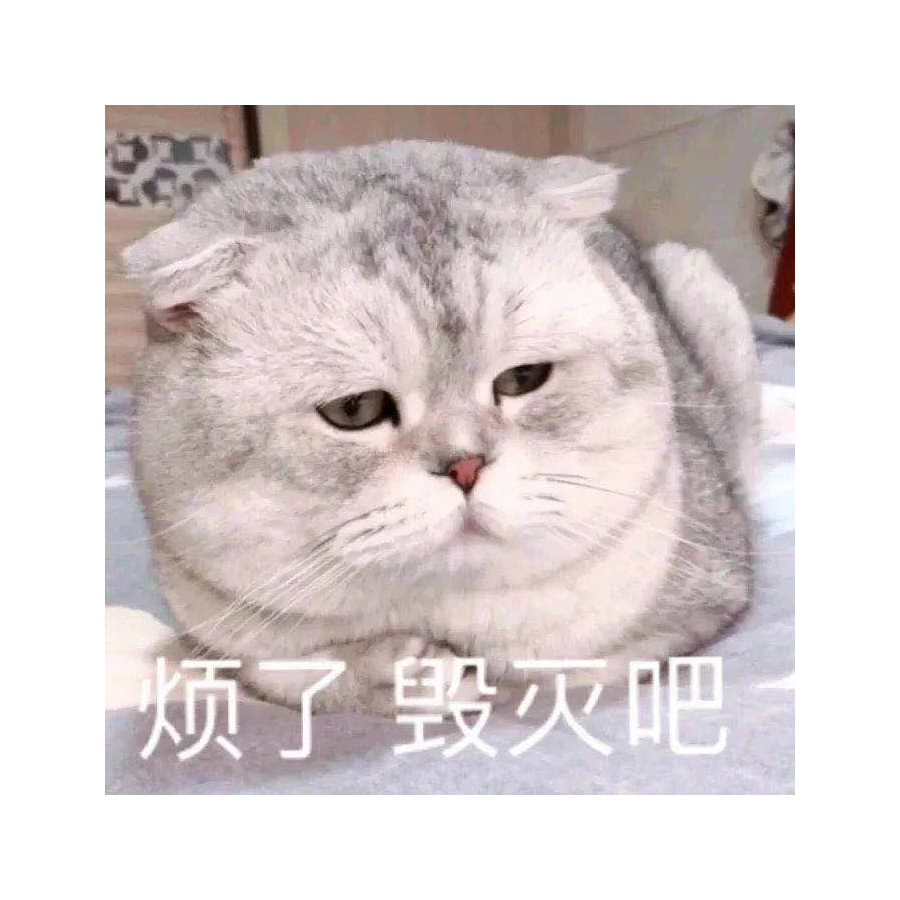 被转发的锦鲤