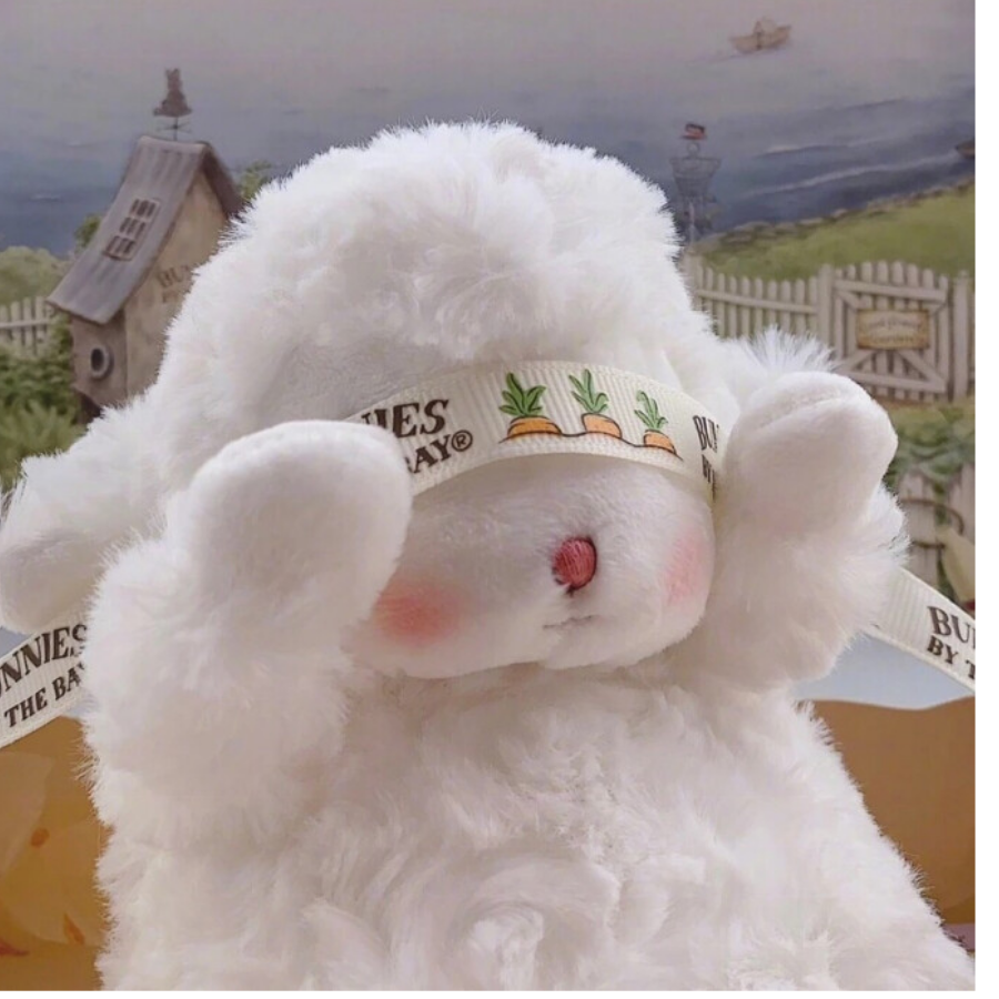 B612在长小羊🐑