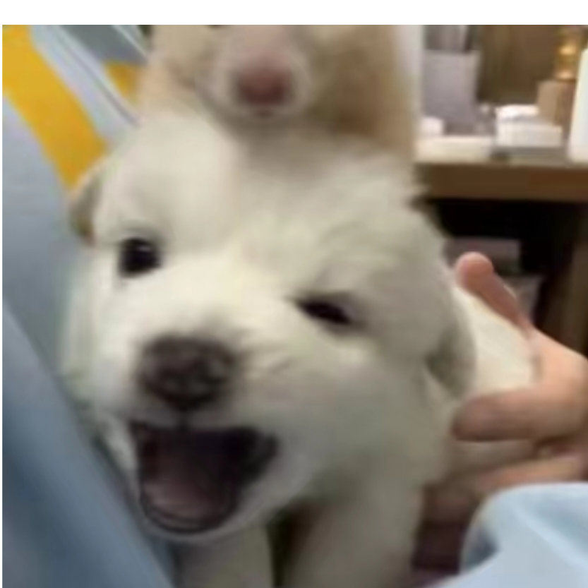若世有神明