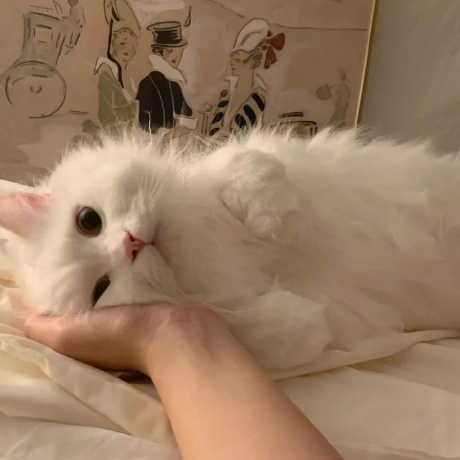 云峥