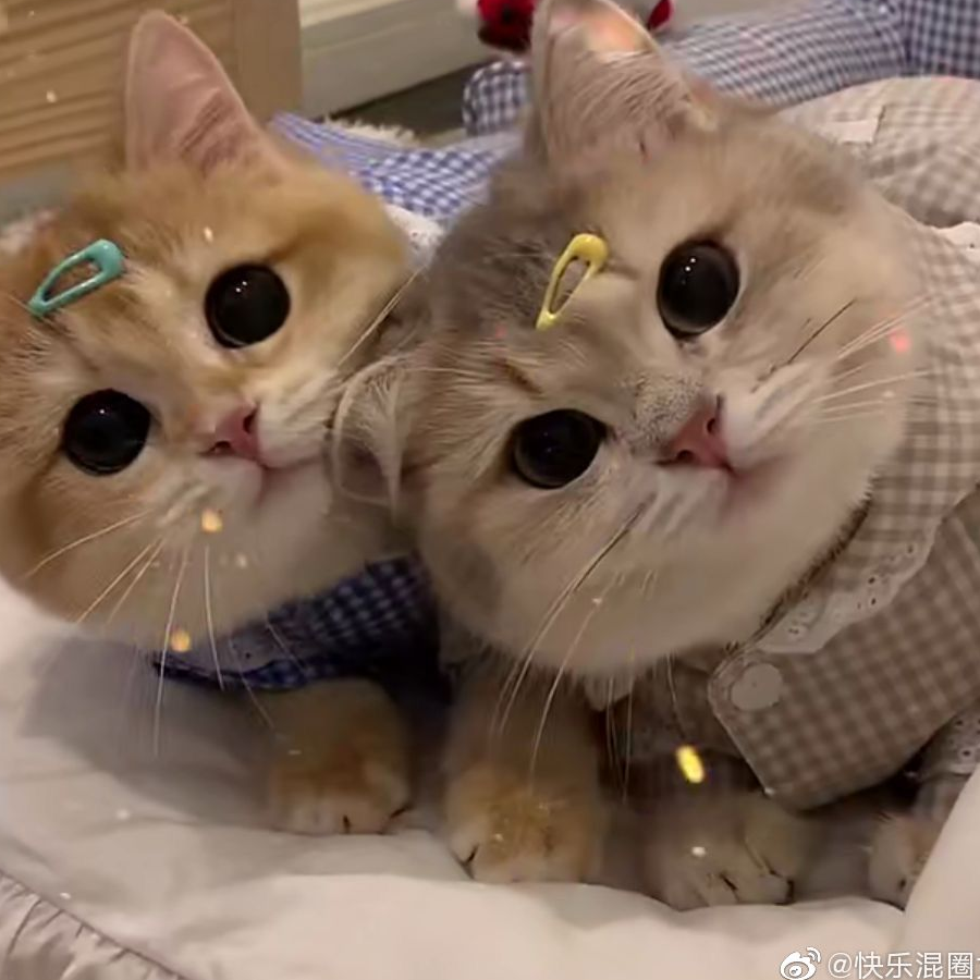 破罐子