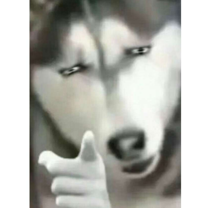 不过是些许风霜罢了