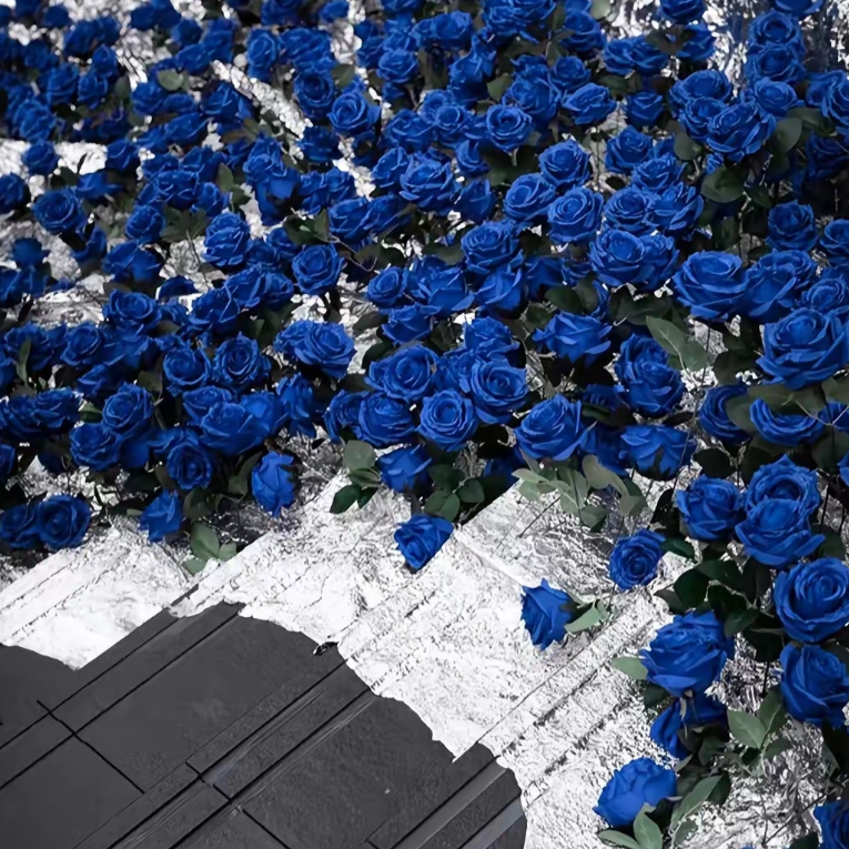 BLUE￥ROSE