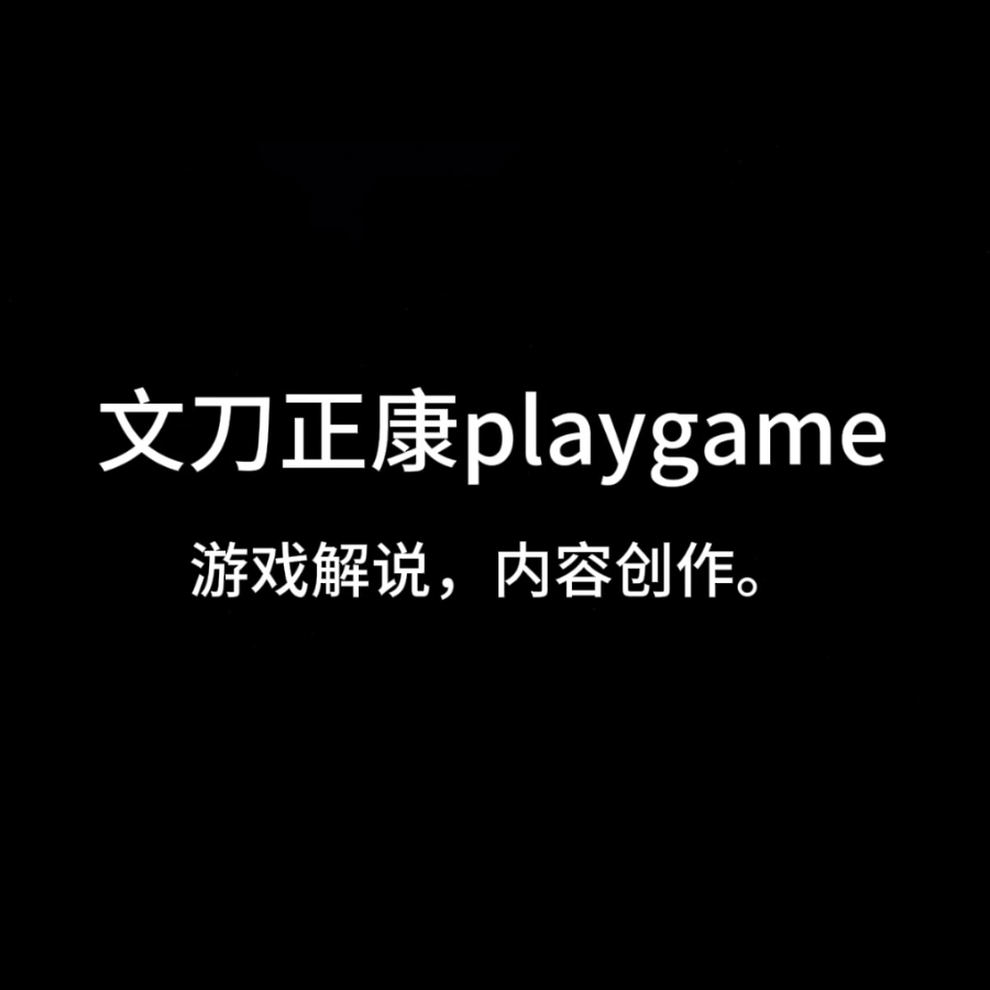 文刀正康playgame