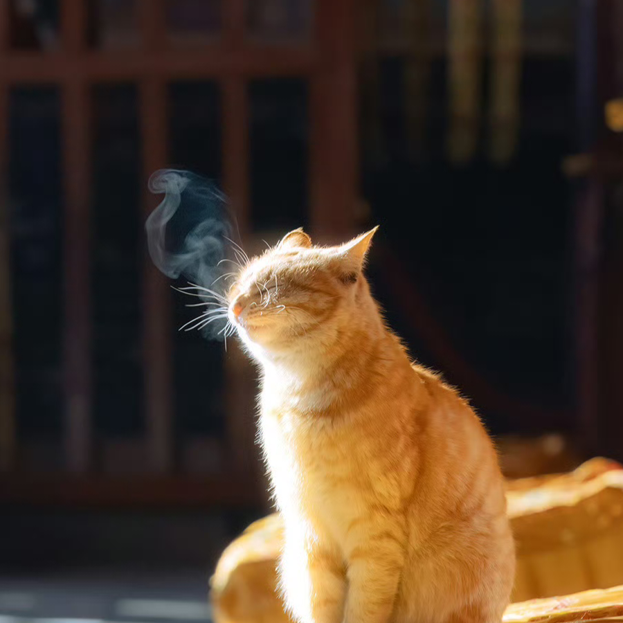 半碗八宝粥