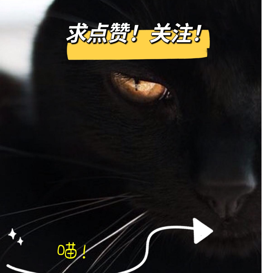 抖音爱玩游戏的黑猫