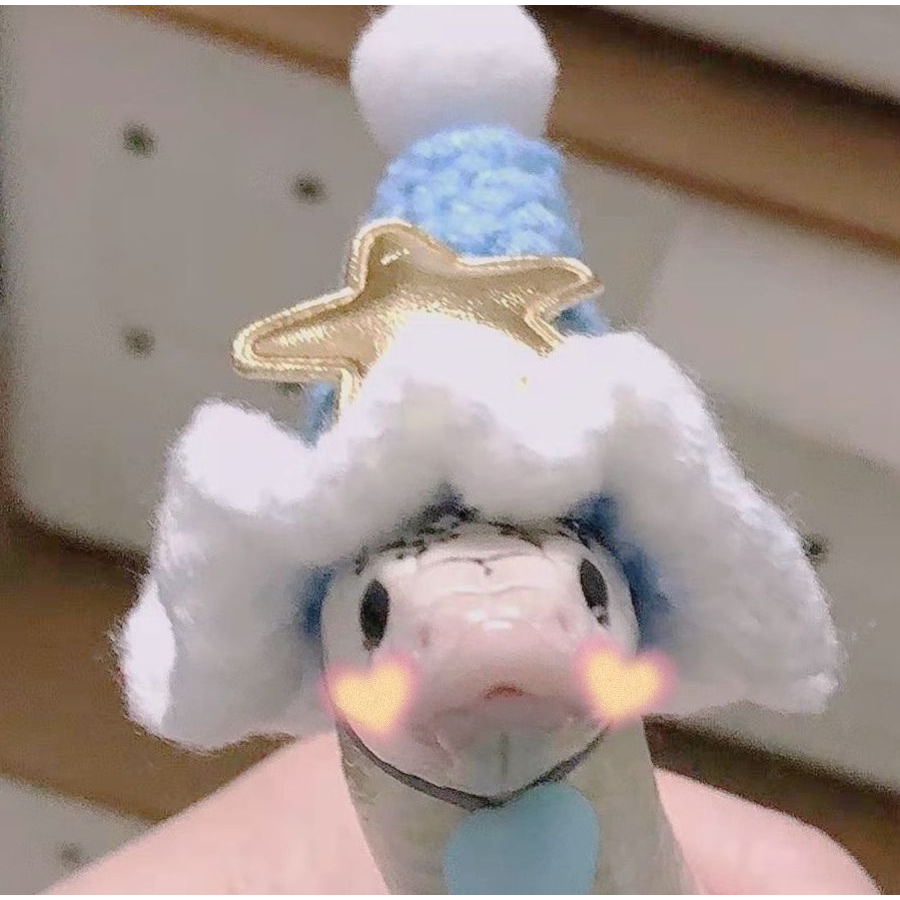 鶾