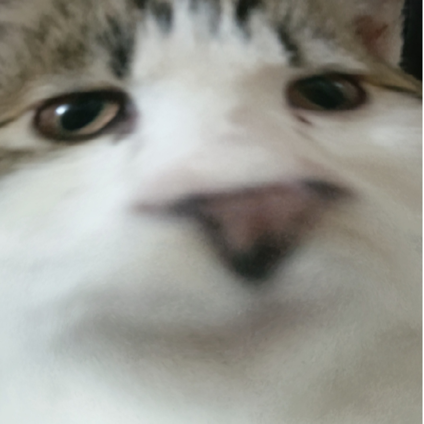 。。。