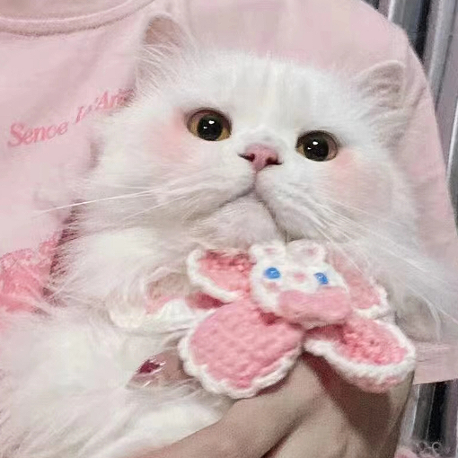 ≡ω≡