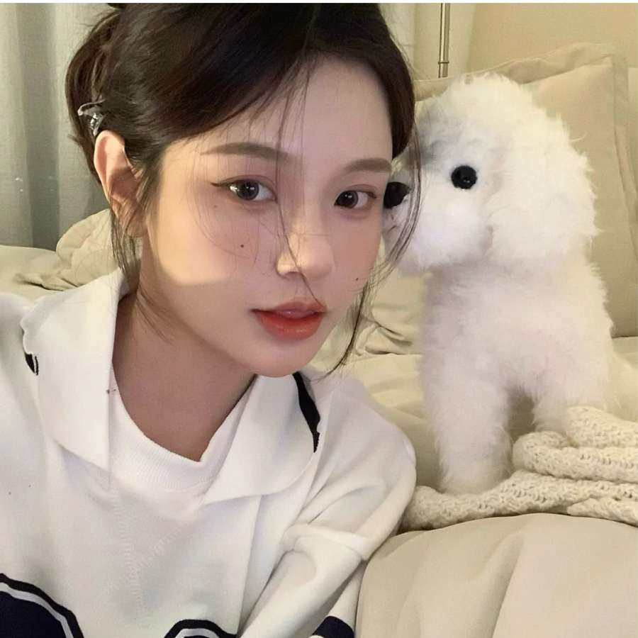 呆呆小卷
