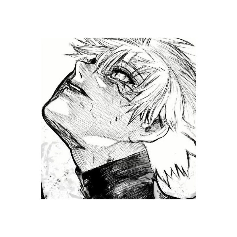 《萌新》
