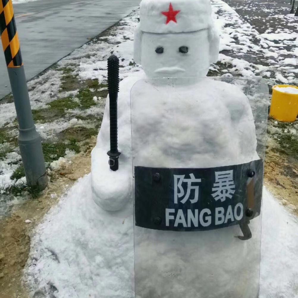 秋丛青桔