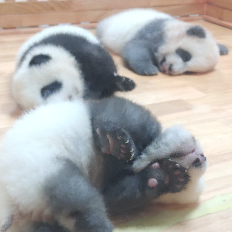 玄墨