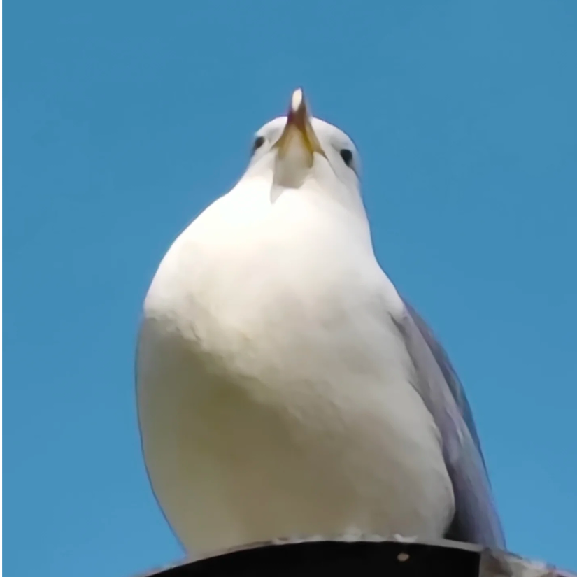 一把东