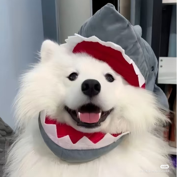 那咋了