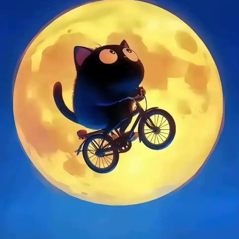 秦┊时┊明┊月🌒🌓🌔🌕🌖🌗🌘