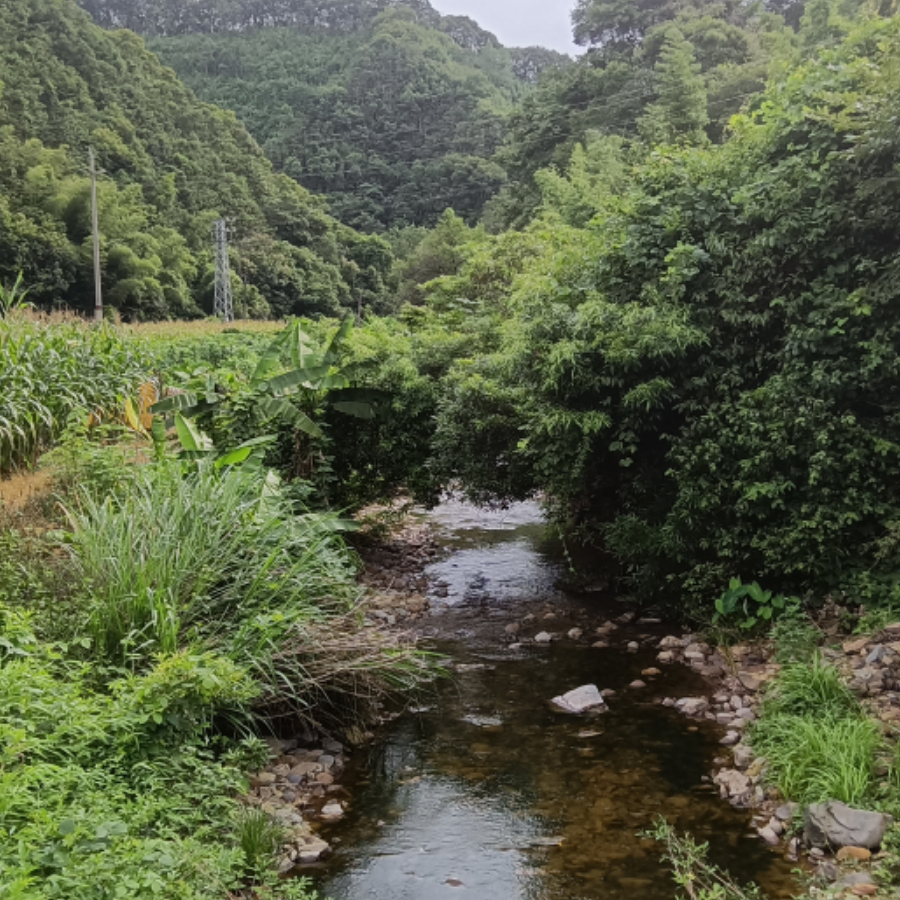 以梦为马