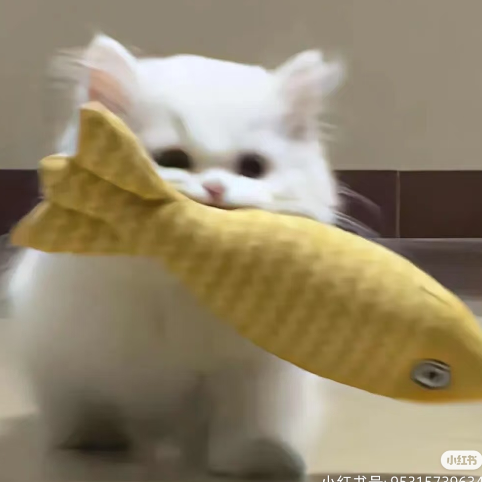 潮落.