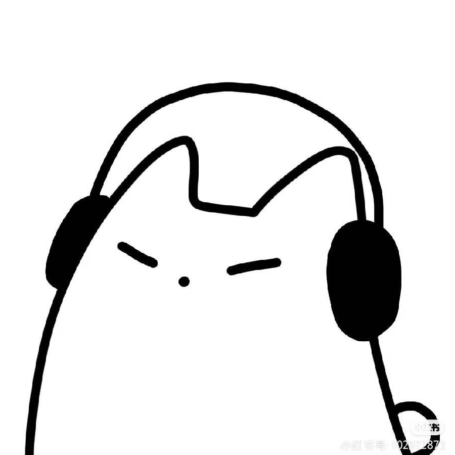 司