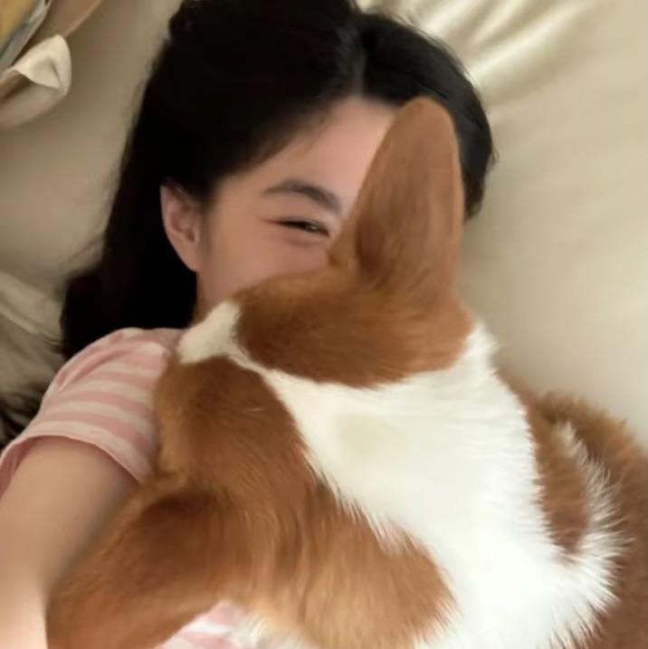 小情绪Y