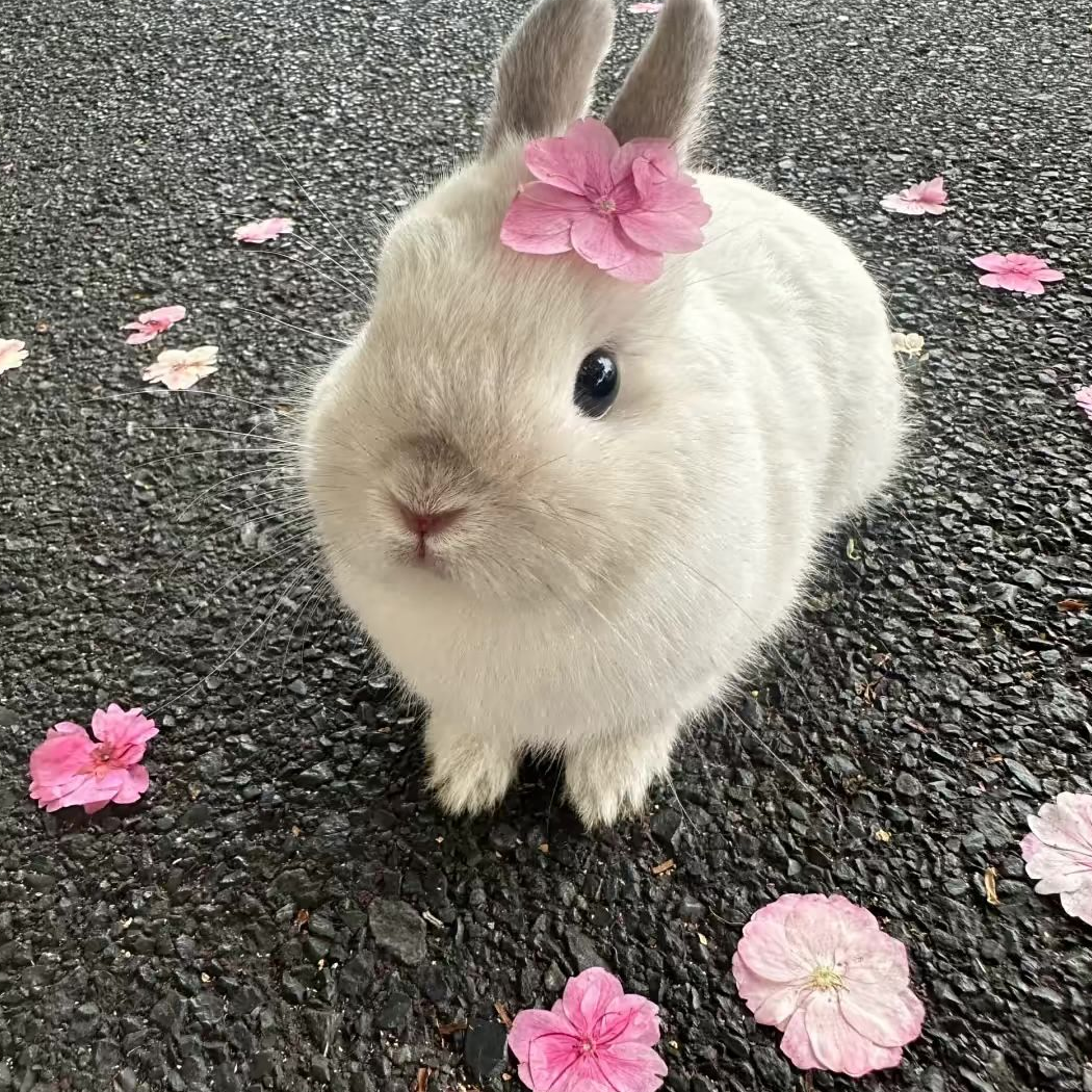 㤙