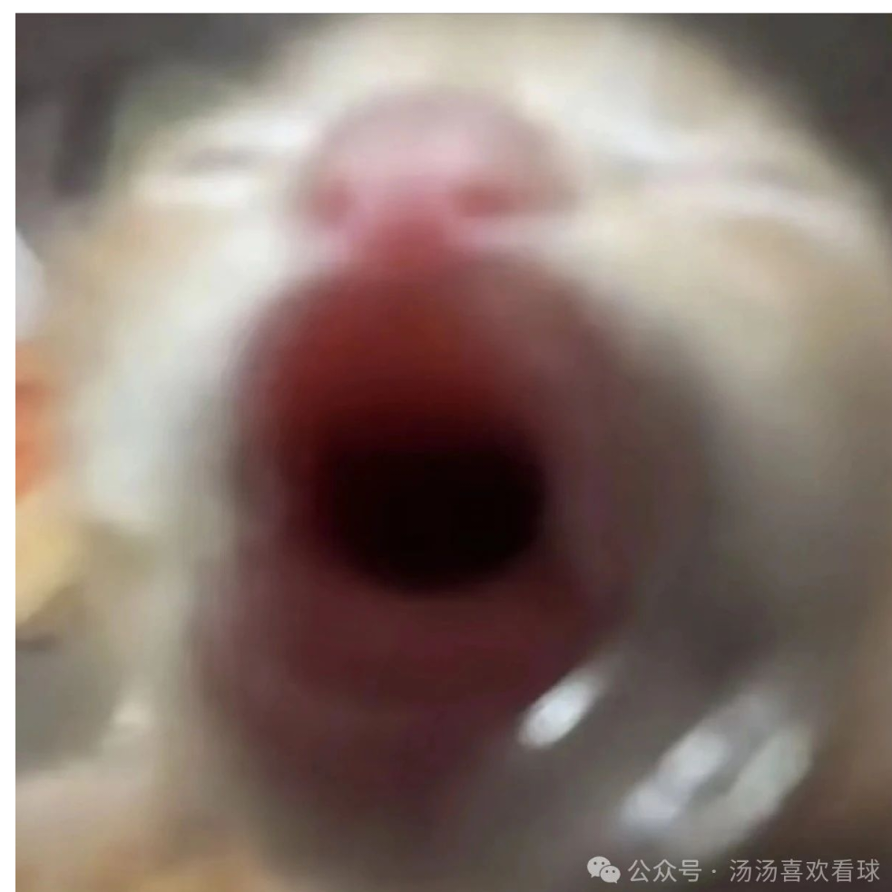 不在线