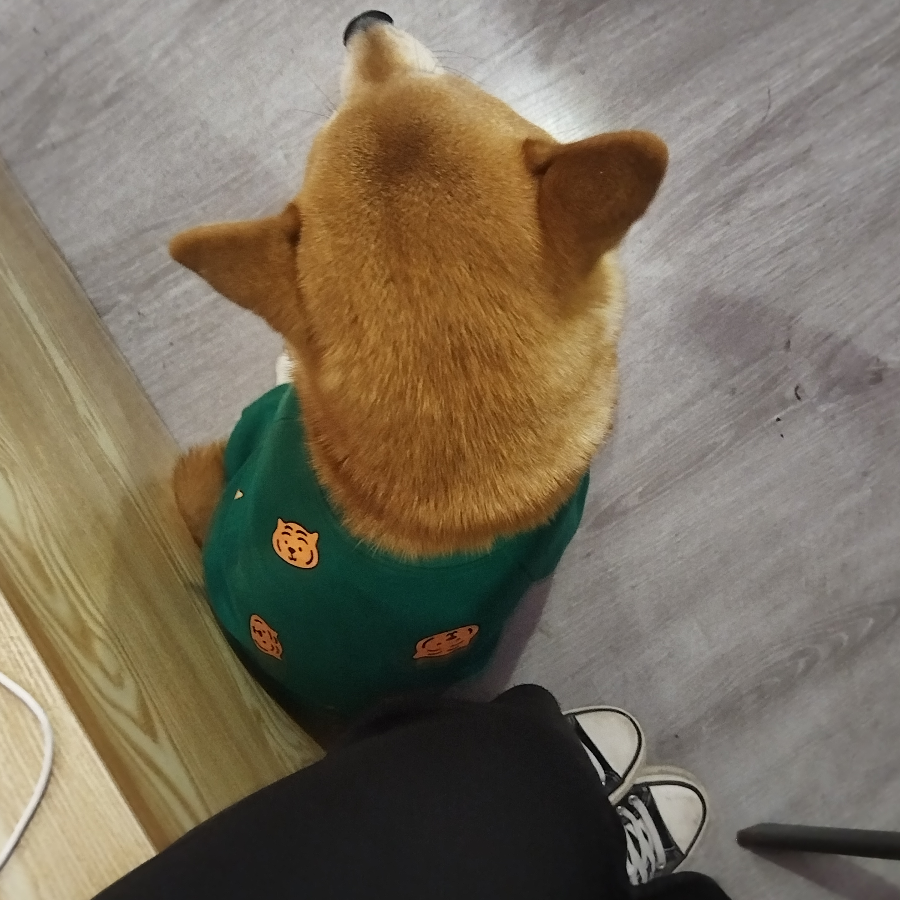 老娘