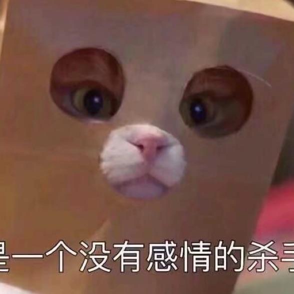 爱玩游戏的白衣小子