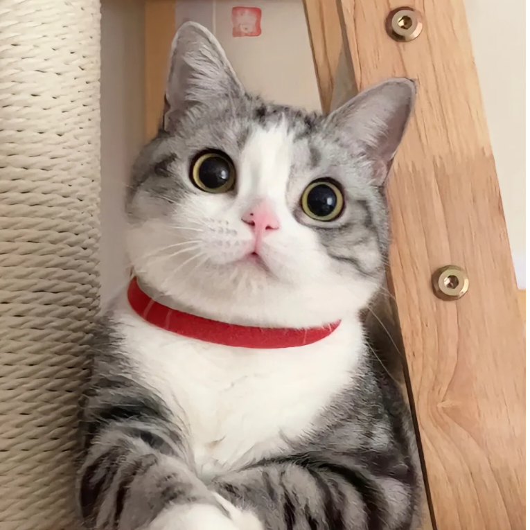 天青色等烟宇～而我在等你