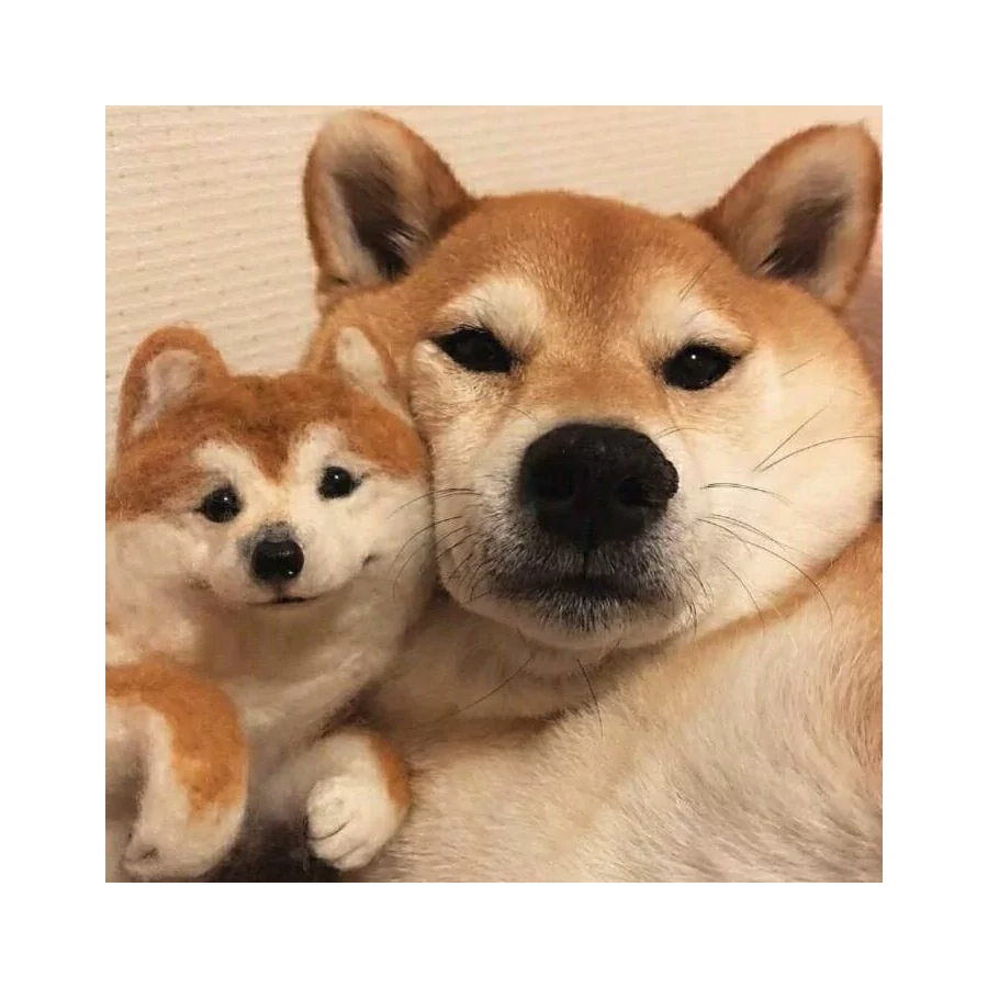 可乐可乐