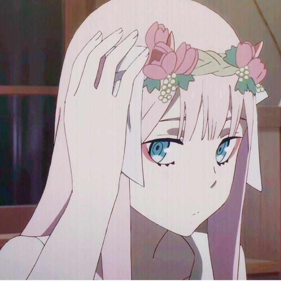 奈奈生小n
