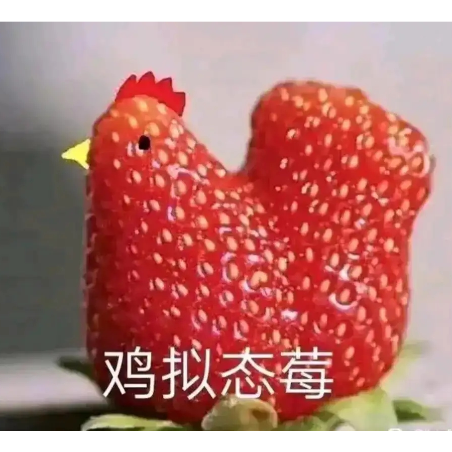 青山知可子