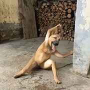 笑到模糊的小子