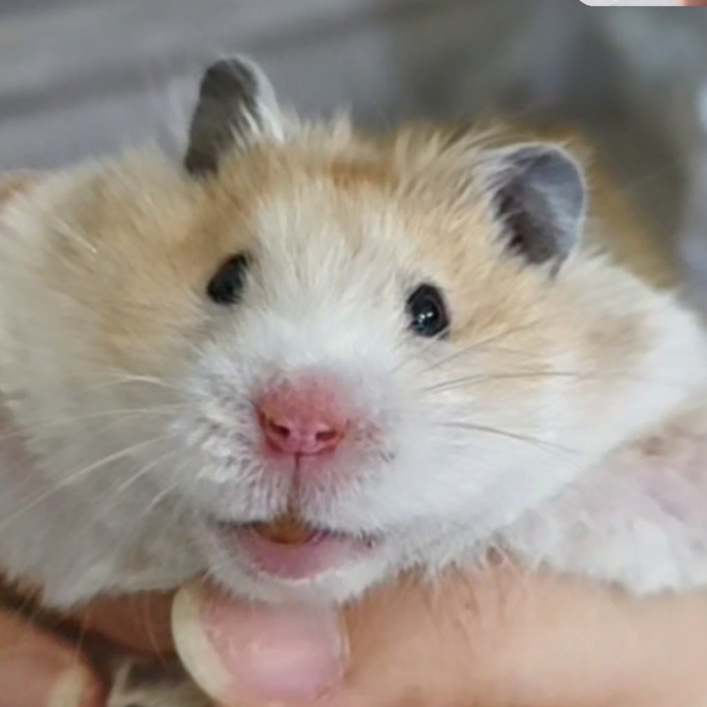 茗记