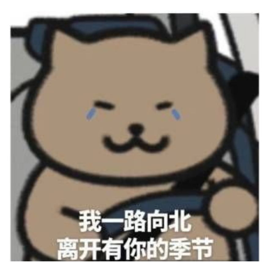 朩九