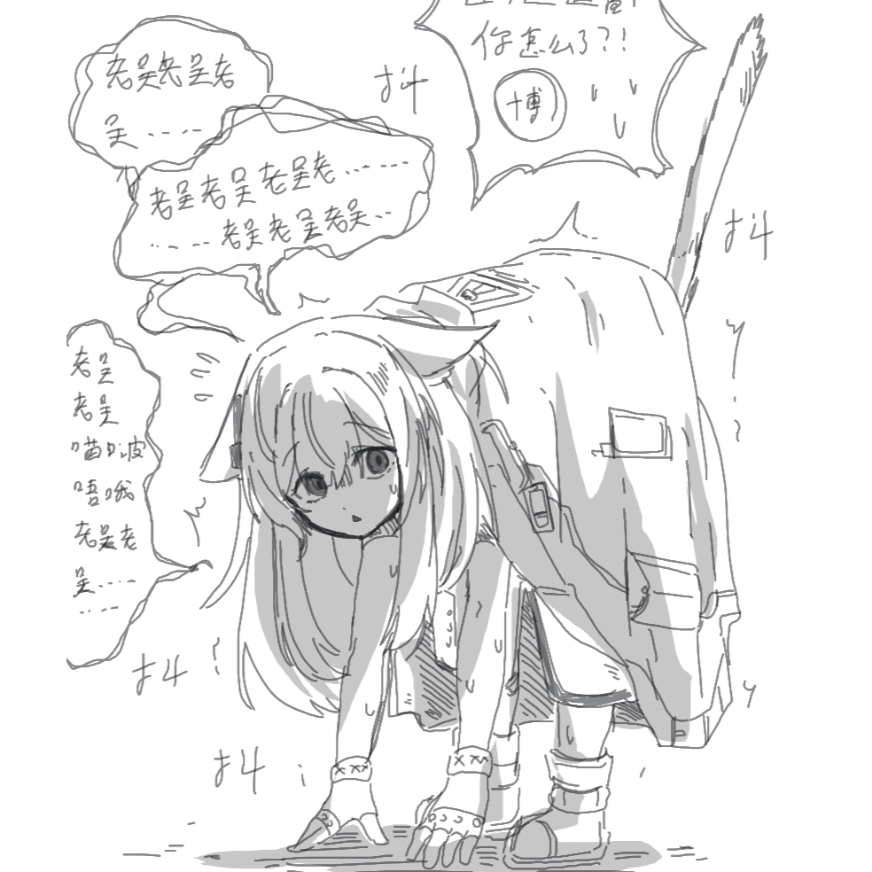 哈基迷