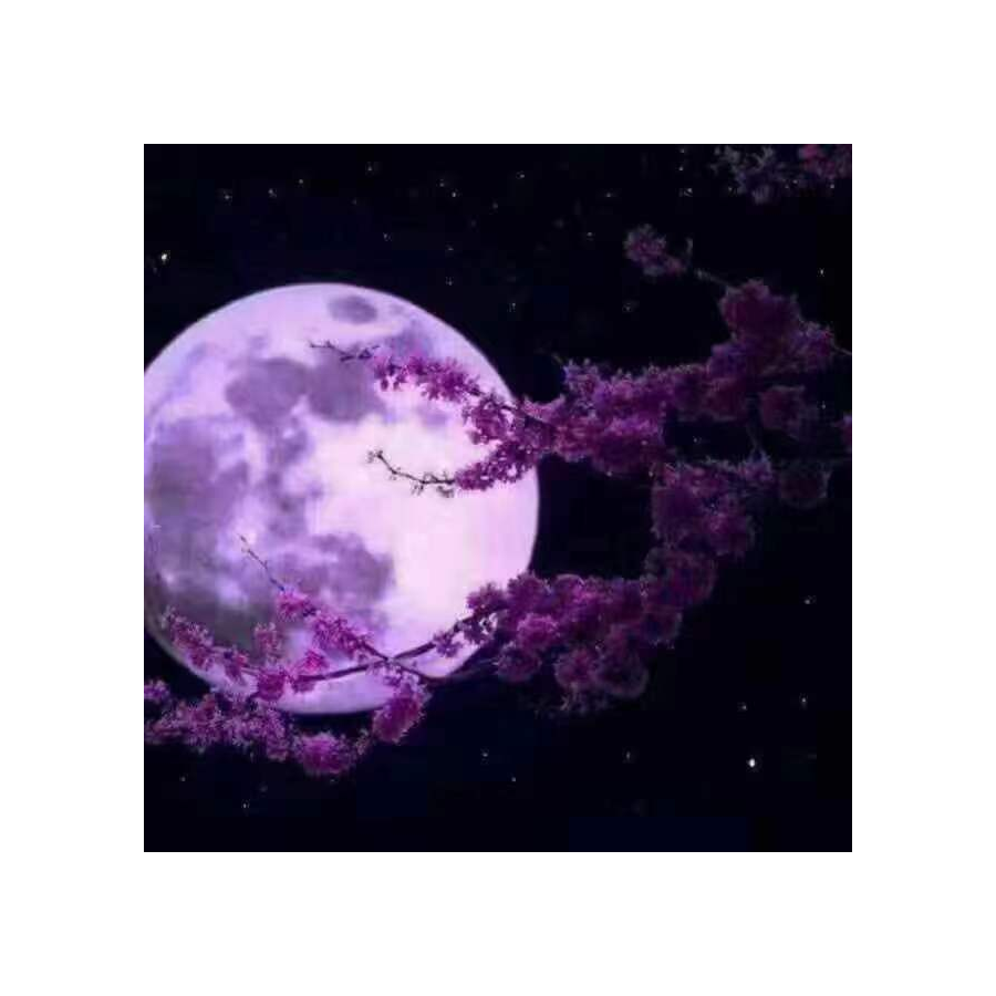 看着夕阳等黄昏