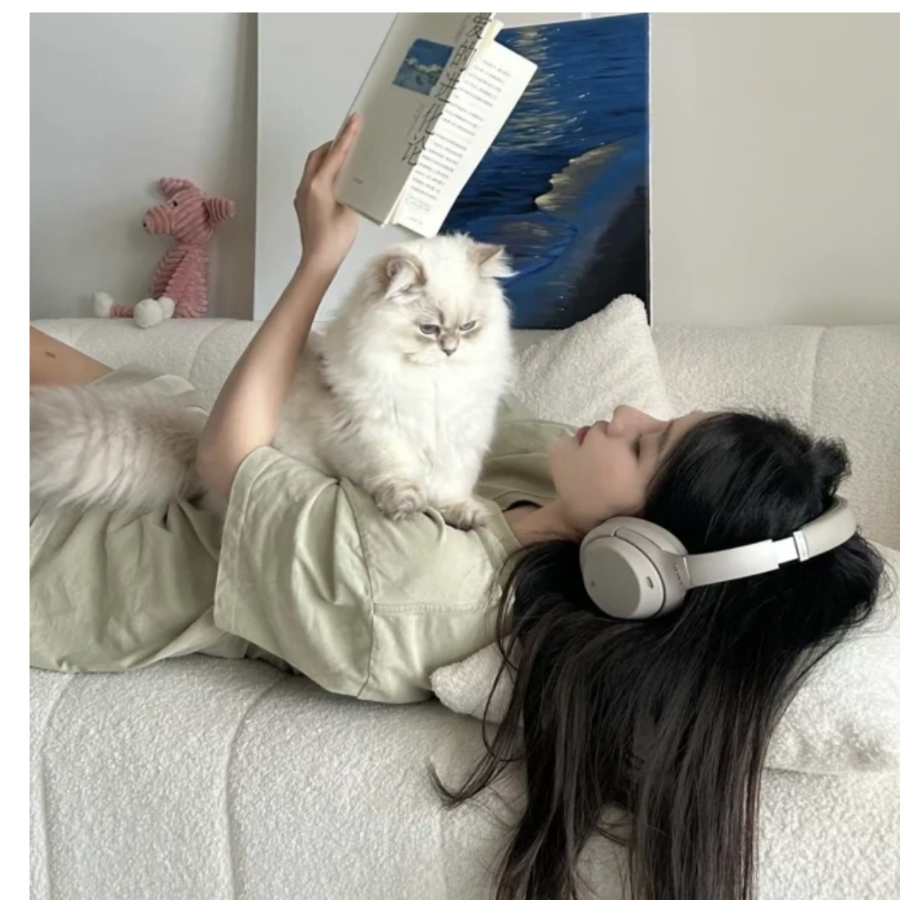 荔枝