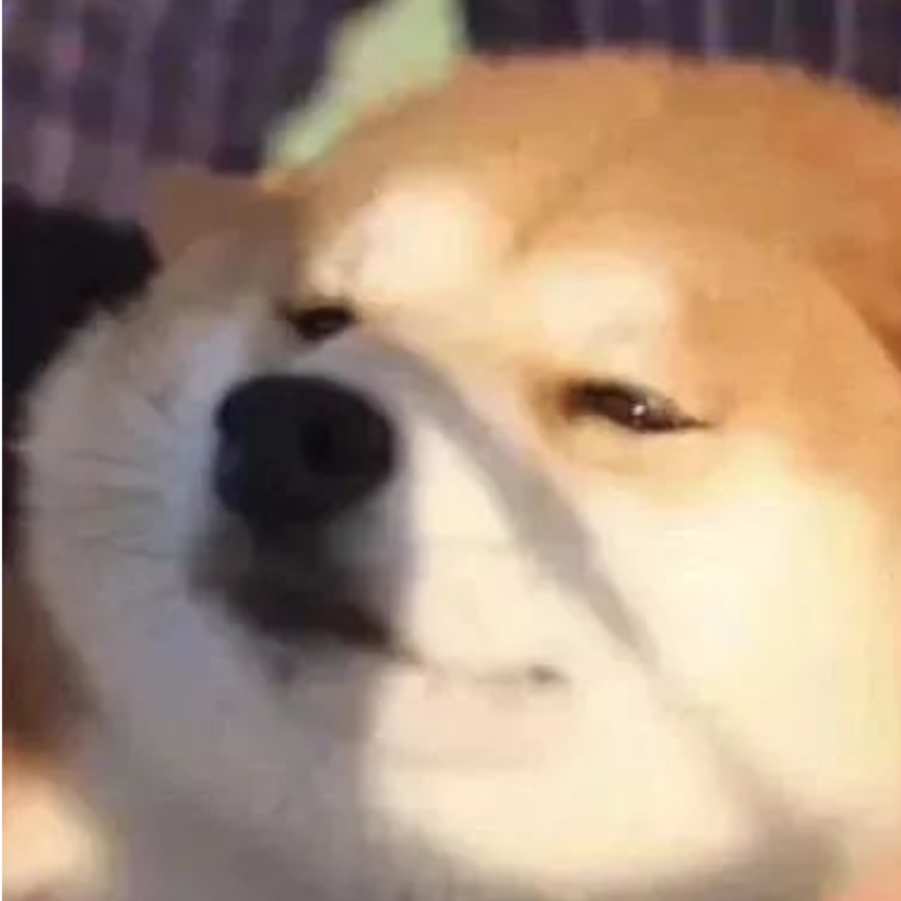 问问神奇海螺